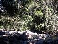 18a - Cascade aux Ecrevisses 012